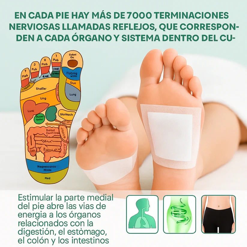 Kinoki™ Parches Desintoxicantes de Bambú y Hierbas Orientales
